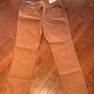 Ann Taylor Loft light brown corduroy pants